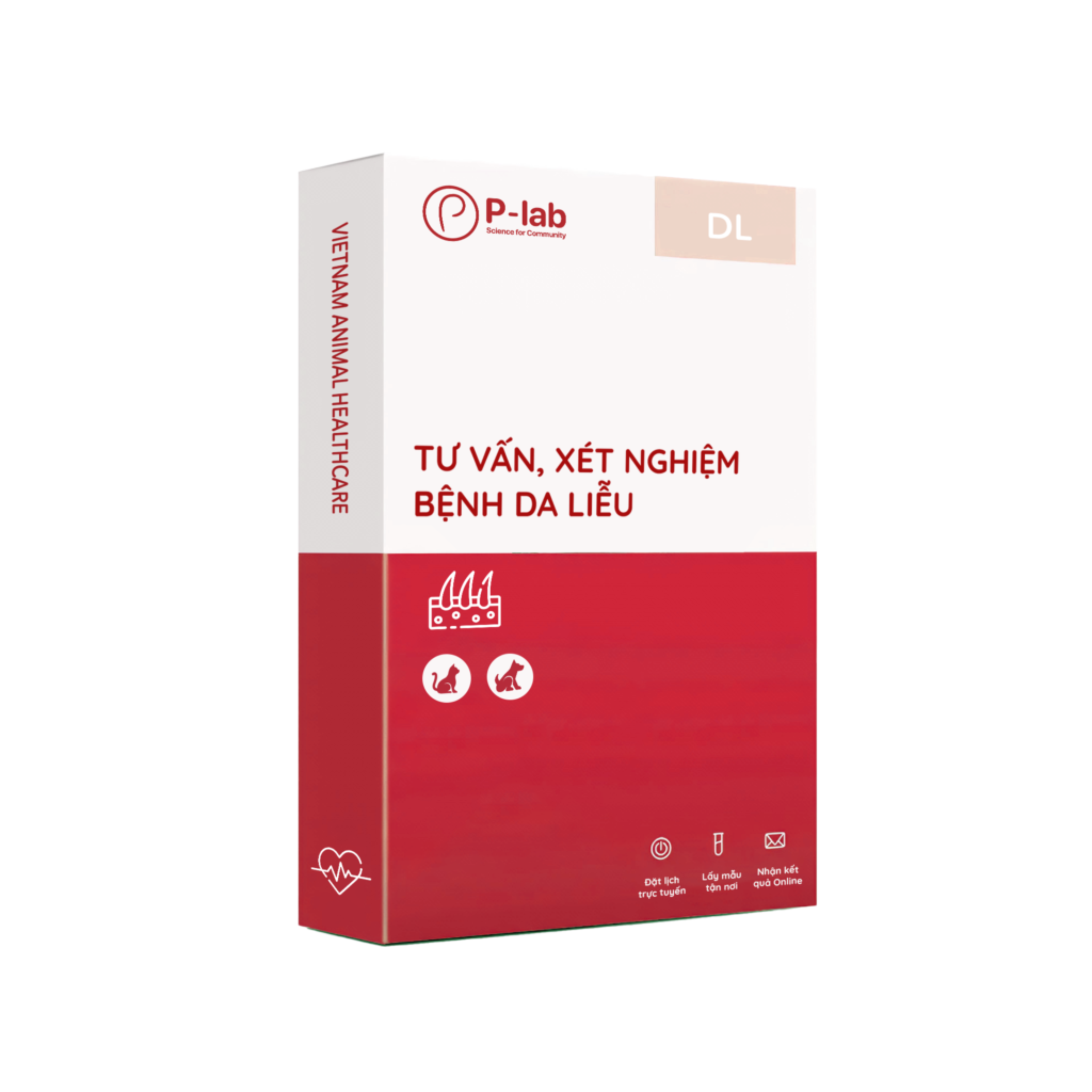 Tư vấn, xét nghiệm bệnh da liễu