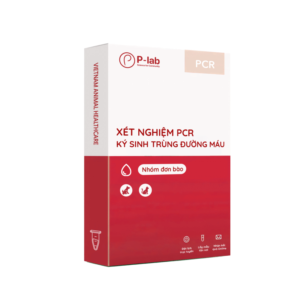 Gói sàng lọc nhóm đơn bào ký sinh đường máu bằng PCR