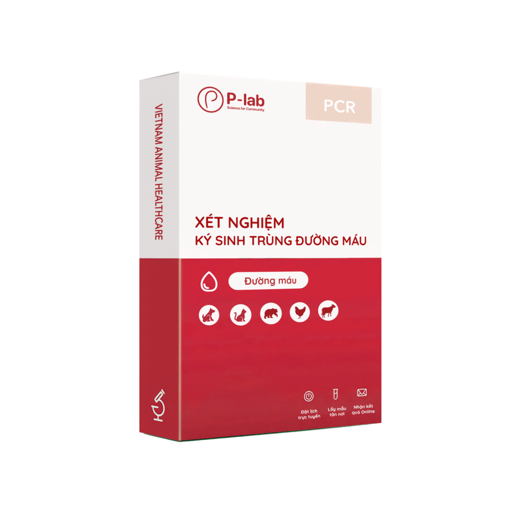 Gói sàng lọc toàn bộ ký sinh đường máu phổ biến bằng PCR
