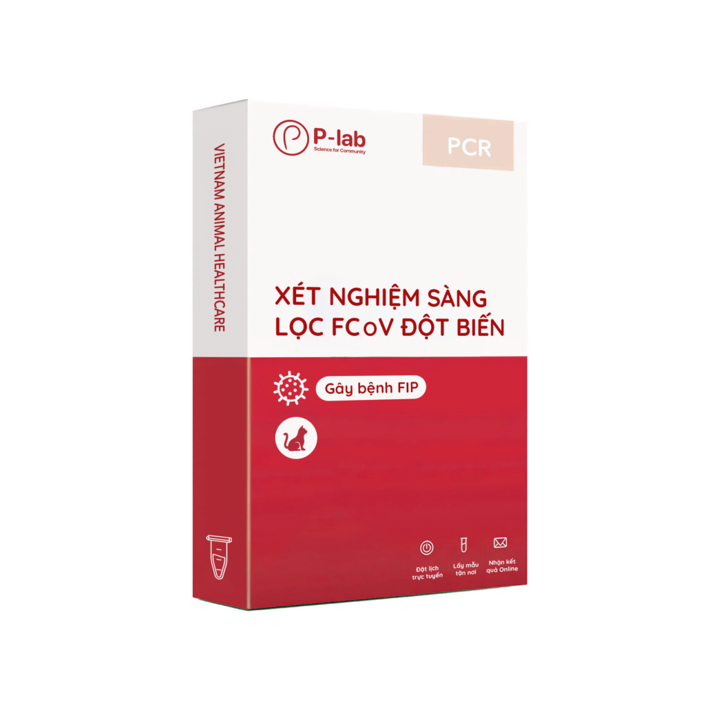 Sàng lọc PCR Coronavirus đột biến gây bệnh FIP