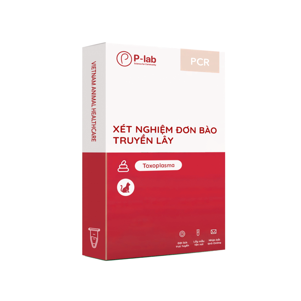 Sàng lọc PCR bệnh nhiễm trùng Toxoplasma
