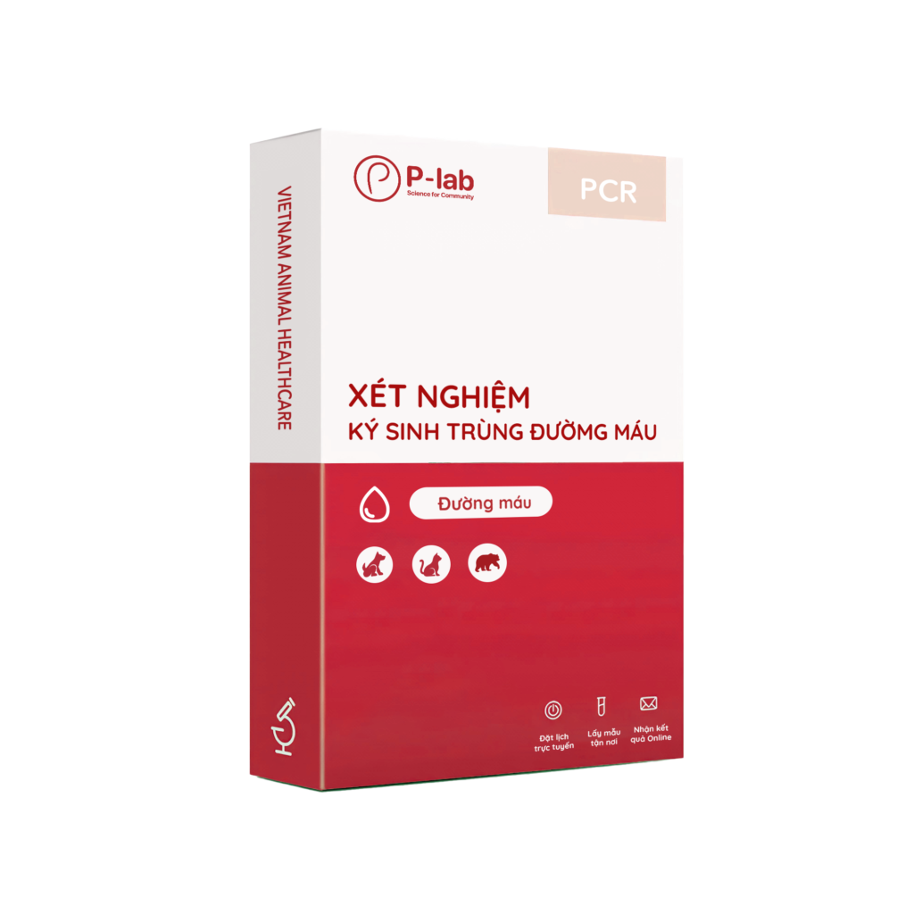Gói sàng lọc nhóm vi khuẩn ký sinh đường máu bằng PCR