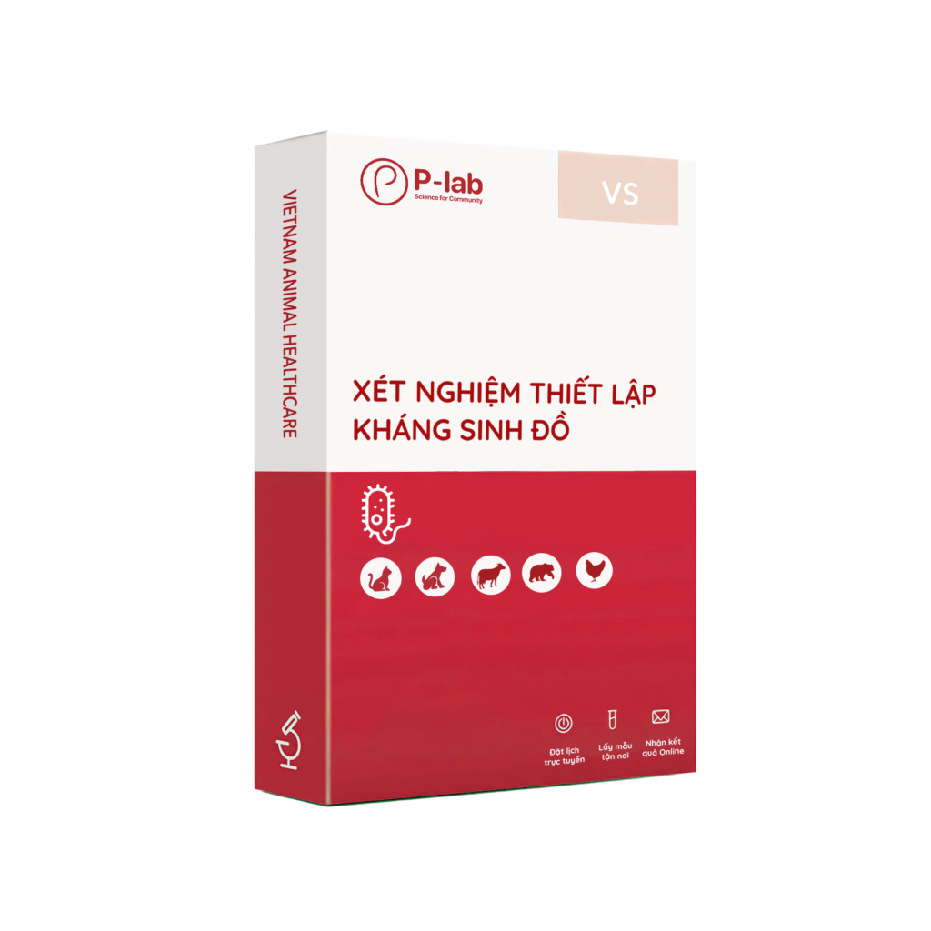 Xét nghiệm thiết lập kháng sinh đồ